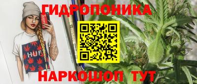ECSTASY Гусь-Хрустальный